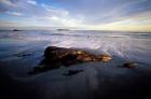 Low Tide and Surf, Wallis Sands State Park, New Hampshire