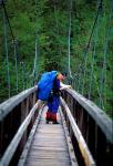 Hikers on a Footbridge Across Pemigewasset River, New Hampshire