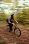 Mountain Biking, Old Logging Road, New Hampshire