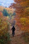 Mountain Biking on Old Logging Road, New Hampshire