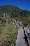 Tamarack Bog Bridge on the Lonesome Lake Trail, New Hampshire