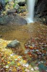 Pitcher Falls in White Mountains, New Hampshire