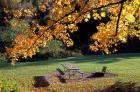 Fall Foliage on Cohos Trail, Zealand Campground, Twin Mountain, New Hampshire