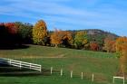 Horse Farm in New England, New Hampshire
