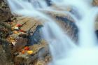 Pearl Cascade on the Avalon Trail, New Hampshire