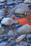 Fall Colors Reflect in Saco River, New Hampshire