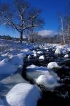 Wildcat River, New Hampshire