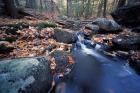 Great Brook Trail in Late Fall, New Hampshire