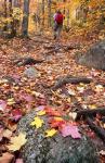 Hiking Sugarloaf Trail, White Mountain National Forest, Twin Mountain, New Hampshire