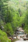 Spring on the Pemigewasset River, Flume Gorge, Franconia Notch State Park, New Hampshire