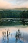 Fog obscures the summit of Mt Monadnock, New Hampshire