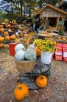 A farm stand in Holderness, New Hampshire