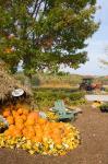 Gourds at the Moulton Farmstand, Meredith, New Hampshire