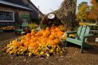 Gourds at the Moulton Farm farmstand in Meredith, New Hampshire