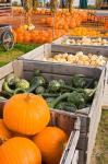 Pumpkins and gourds at the Moulton Farm, Meredith, New Hampshire