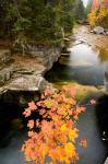 Upper Falls on the Ammonoosuc River, White Mountains, New Hampshire