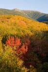 Mount Lafayette in fall, White Mountain National Forest, New Hampshire