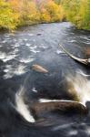 Ashuelot River, New Hampshire