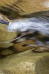New Hampshire Abstract design formed by rock and rushing water of the Swift River, White Mountain NF