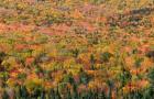 New Hampshire, White Mountains, Autumn