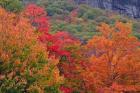 Bemis Falls Trail, Crawford Notch State Park, New Hampshire