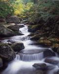 Gordon Water Falls, Appalachia, White Mountains, New Hampshire