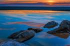 Rocky Seashore Of Cape May, New Jersey