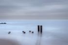 Beach Pilings on Stormy Sunrise, Cape May National Seashore, NJ