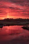 New Jersey, Cape May, Sunrise On Creek