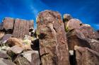 Petroglyphs At Three Rivers Petroglyph Site, Three Rivers, New Mexico