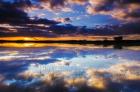 Wetlands At Sunrise, Bosque Del Apache National Wildlife Refuge, New Mexico