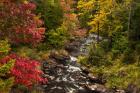 New York, Adirondack State Park Stream And Forest In Autumn