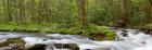 Panoramic Of Straight Fork Creek In Spring, North Carolina