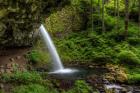 Ponytail Falls, Oregon