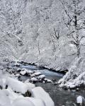 Snow On Boulder Creek, Oregon