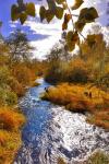 Scenic View Of Dieckman Creek, Oregon