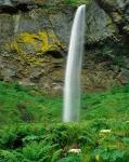 Elowah Falls, Oregon