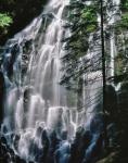 Ramona Falls Landscape, Oregon