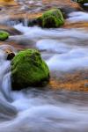 Mckenzie River Flowing Over Moss-Covered Rocks, Oregon