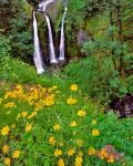 Triple Falls, Oregon