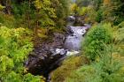 Wilson River Landscape, Oregon