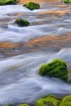 Mmoss-Covered Rocks In The Mckenzie River, Oregon