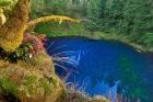 Oregon Blue Or Tamolitch Pool On Mckenzie River