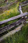 Split Rail Fence In Smith Rock State Park, Oregon