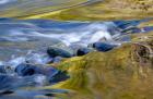 Oregon Abstract Of Autumn Colors Reflected In Wilson River Rapids