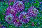 Oregon, Shore Acres State Park, Abstract Of Dahlias In Garden