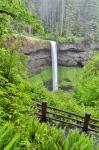 Silver Falls State Park, Oregon South Falls And Trail Leading To It