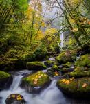 Mccord Creek In Autumn, Oregon