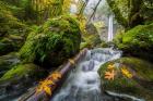 Autumn At Elowah Falls, Oregon