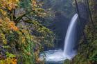 Autumn At Metlako Falls On Eagle Creek, Oregon